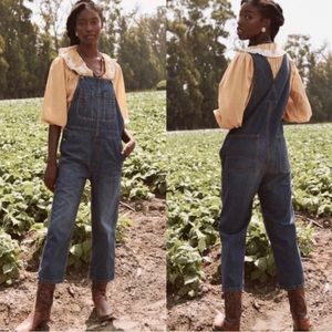 NWT The Great Traveler Overall in Blue Grass Size XS/Small